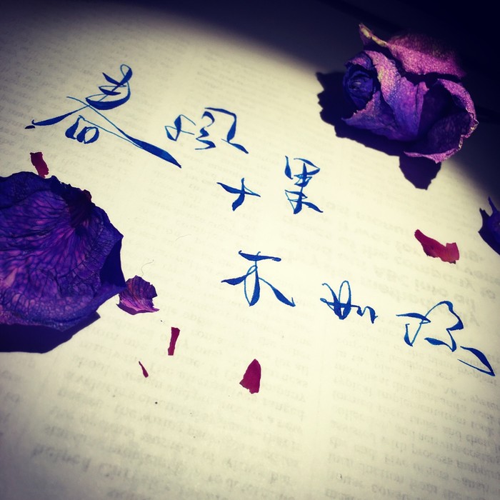 恰是江南好风景落花时节又逢君,江南好景落花时节又逢君的含义