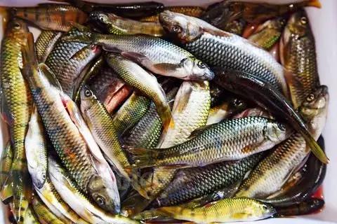 融安玻璃栈道怎么去,柳州融安玻璃栈道门票价格