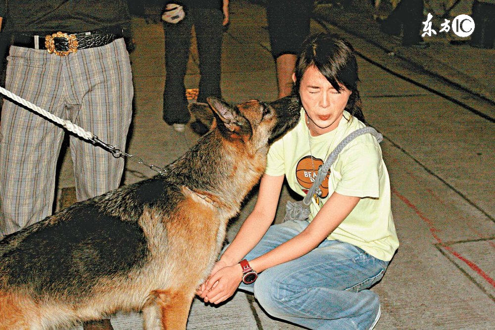 狗拿耗子的真实话,狗拿耗子说明什么