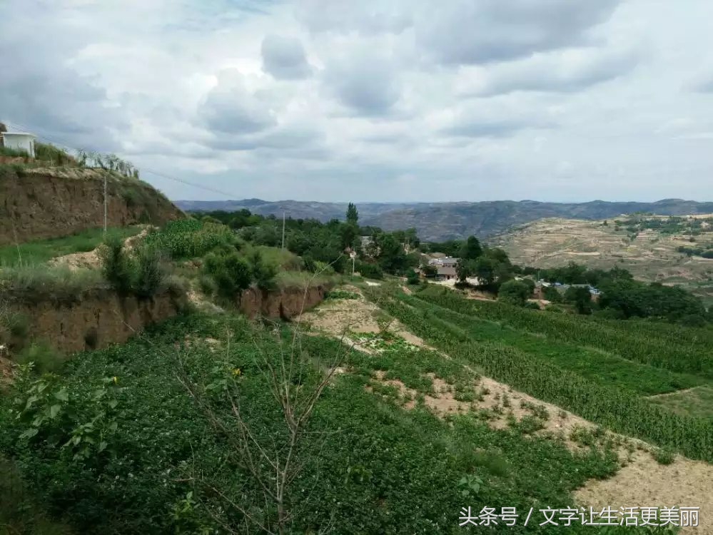 苏家山秦剧团，甘谷乡村文化的先行者！