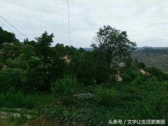 苏家山秦剧团，甘谷乡村文化的先行者！