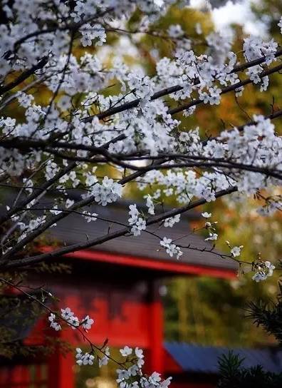 这份成语分类大全替孩子存下吧,成语分类积累整理大全