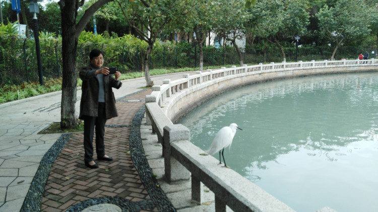 厦门筼筜湖全景,厦门筼筜湖最好的地方