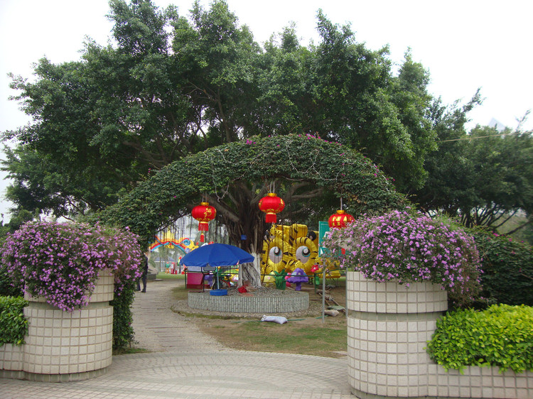 厦门筼筜湖全景,厦门筼筜湖最好的地方