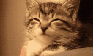 GJSAY光晶说:如何做网店推广?真实人气,引爆您店铺流量!