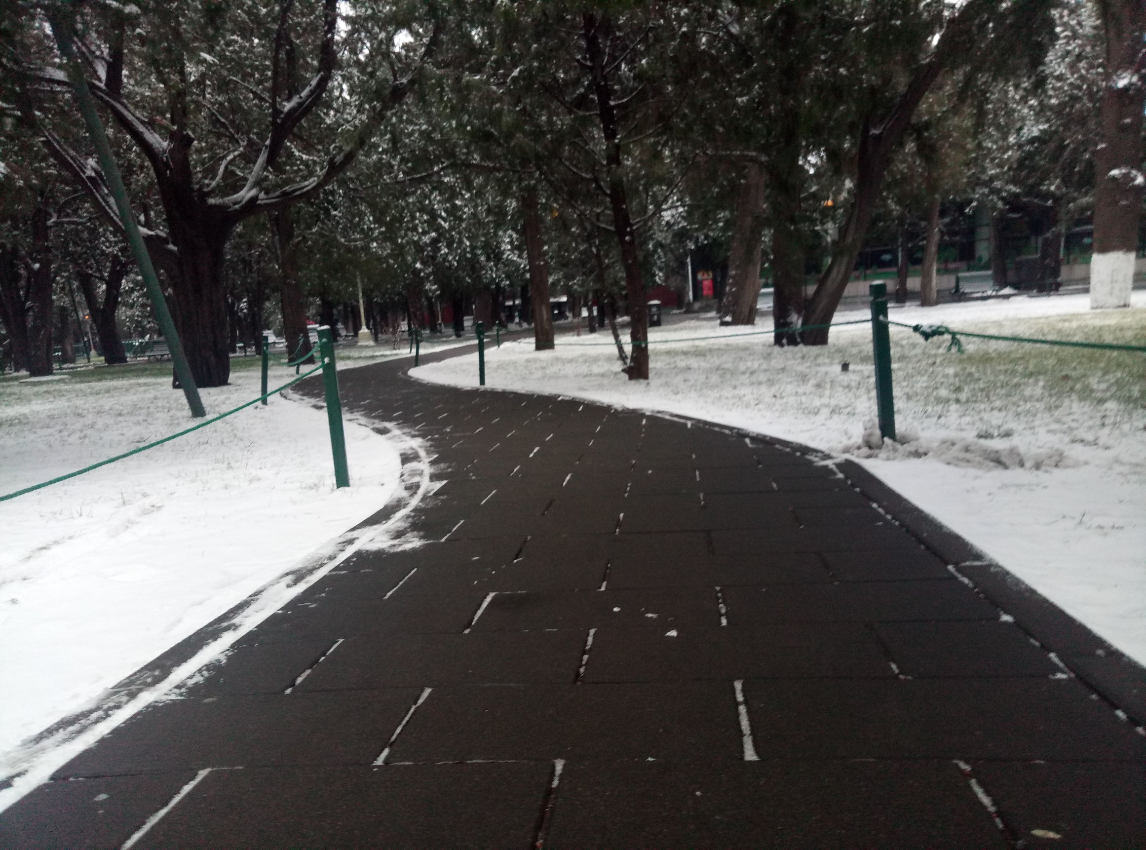 中山公园雪后图片,晚上的中山公园真是美极了