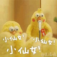 好吃到爆饼干推荐,超市营养点的饼干推荐