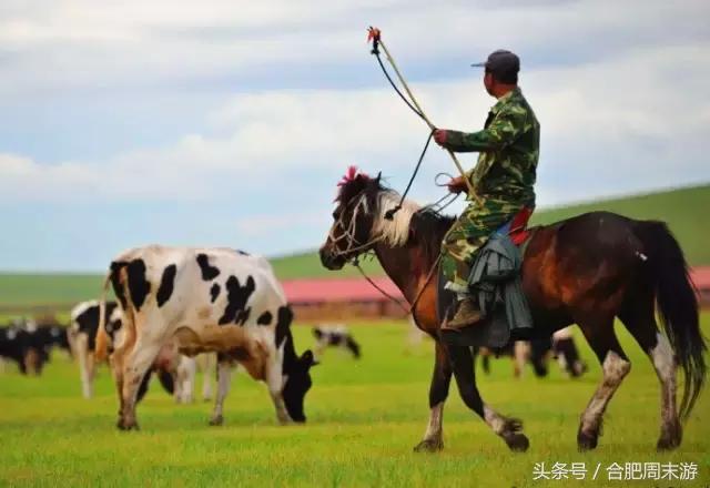 坐火车便宜旅游的国家,坐火车就能出国旅游的攻略