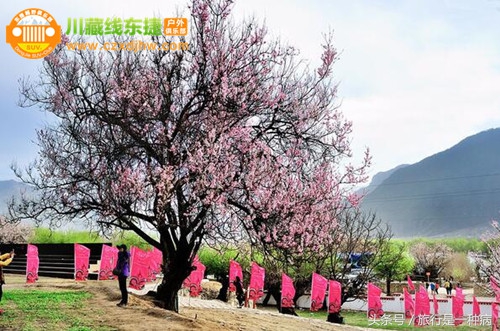 现在从成都自驾去林芝路好走不,从成都自驾到林芝县多少公里