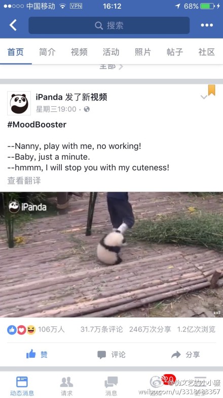 中国十大最火的外国网红,抖音百万网红姐弟抱大腿