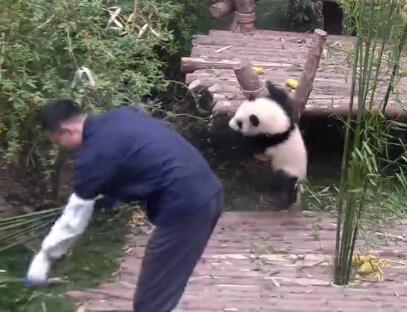 中国十大最火的外国网红,抖音百万网红姐弟抱大腿