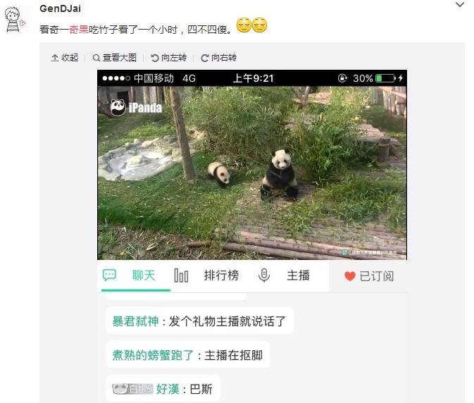 中国十大最火的外国网红,抖音百万网红姐弟抱大腿