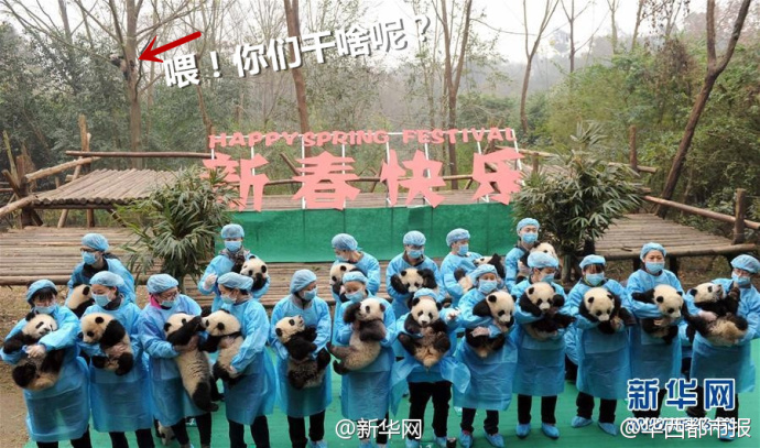 中国十大最火的外国网红,抖音百万网红姐弟抱大腿