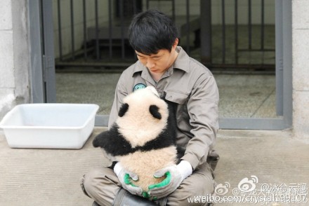 中国十大最火的外国网红,抖音百万网红姐弟抱大腿