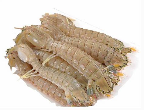 皮皮虾怎么挑选它的肉才紧实,挑选好的皮皮虾的正确方法