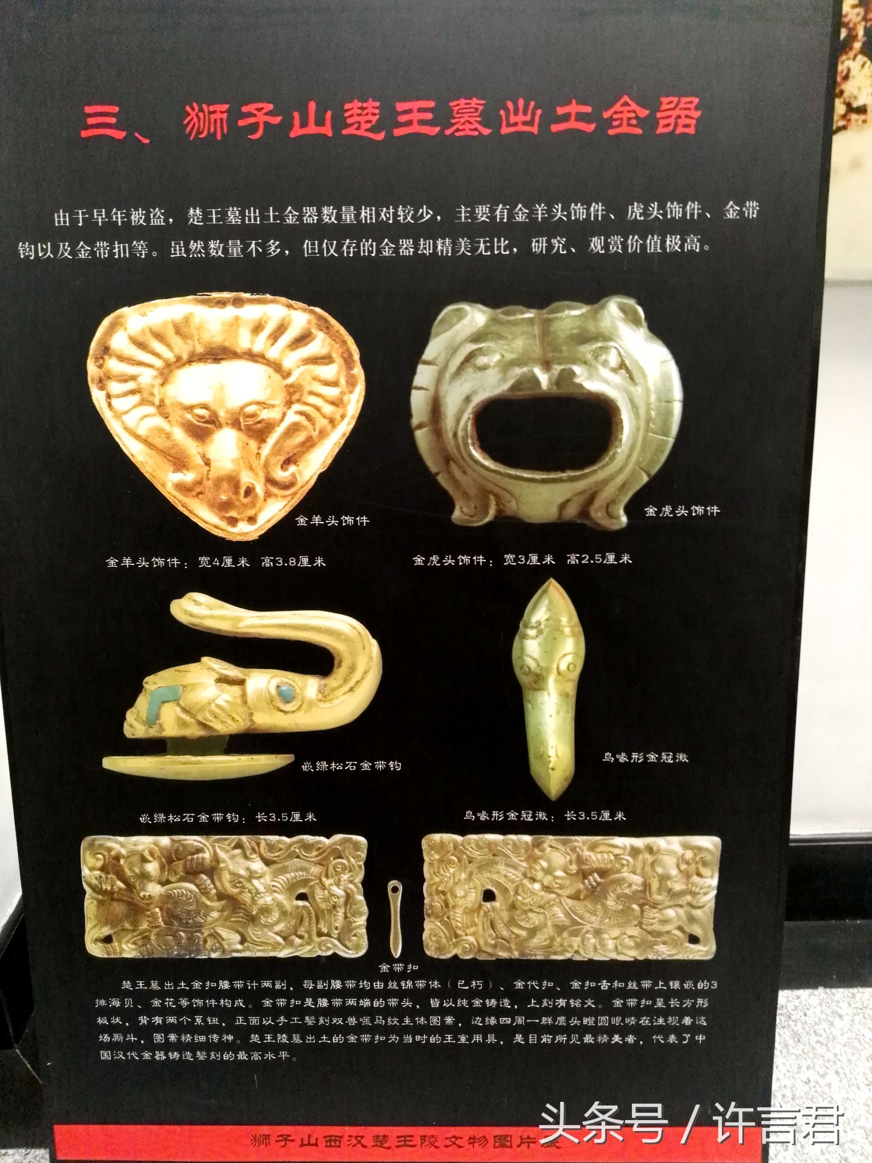 徐州龟山古墓的墓主尸体去哪里了,徐州古墓发现的真相