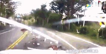 俩人迎面相撞视频,两人撞到头