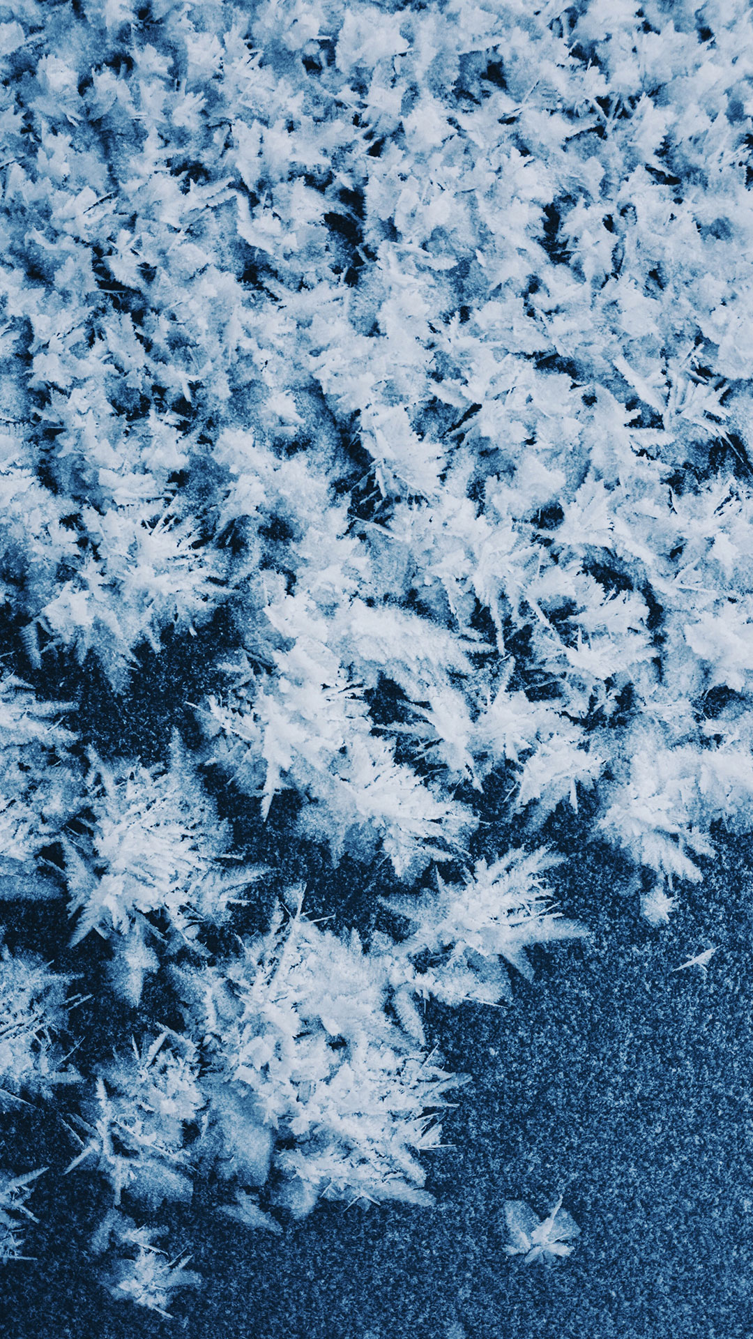 iphone高清壁纸4k全屏唯美,100张各种高清精美手机壁纸欣赏