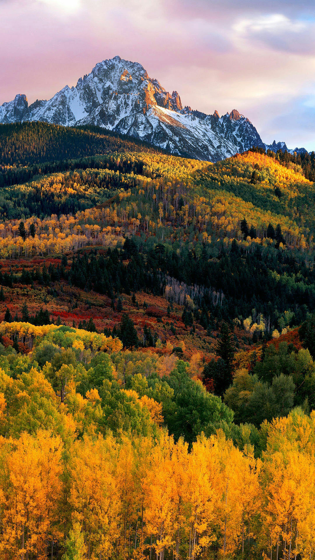 iphone高清壁纸4k全屏唯美,100张各种高清精美手机壁纸欣赏