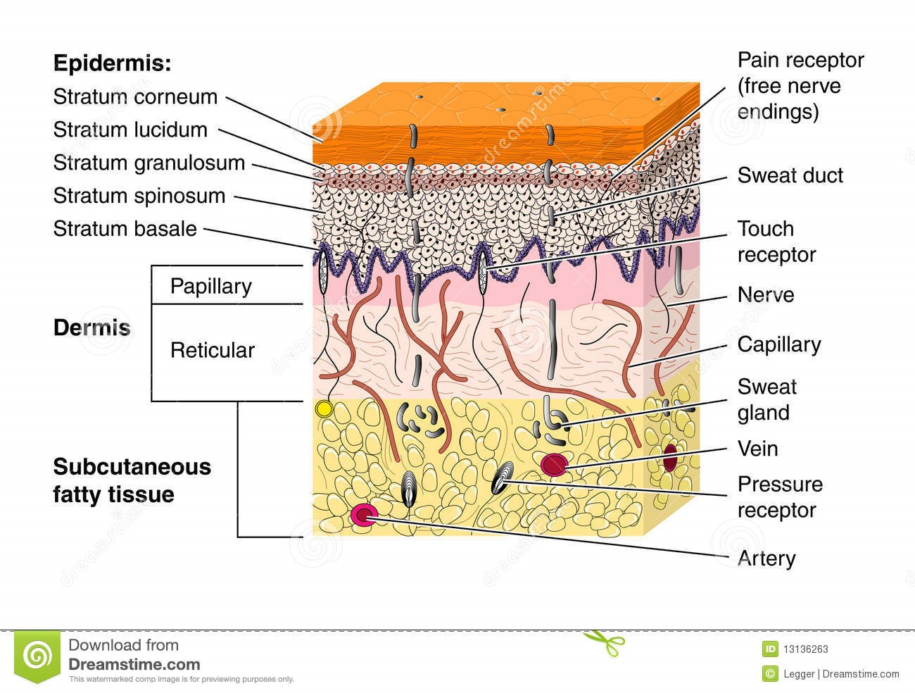 适合30岁左右女性使用的面膜,面膜越敷越老