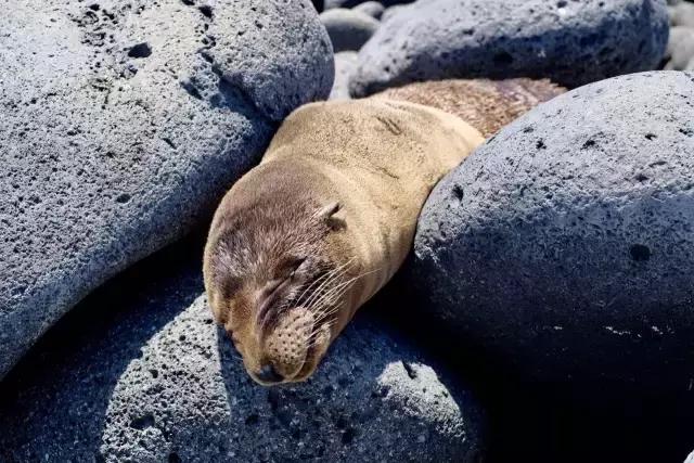 这才是旅行的样子，从亚洲至南美洲，他比我们多了点勇气和决心