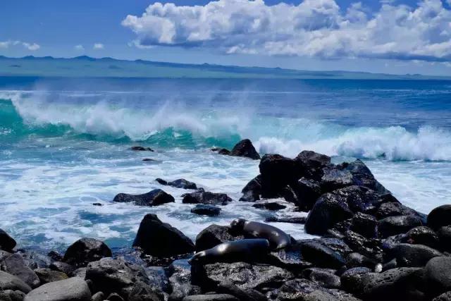 这才是旅行的样子，从亚洲至南美洲，他比我们多了点勇气和决心