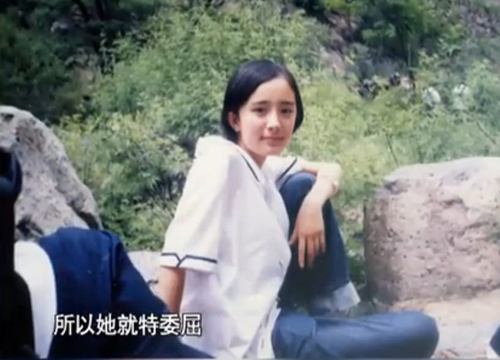 车晓整鼻子了吗,和车晓鼻子很像的明星