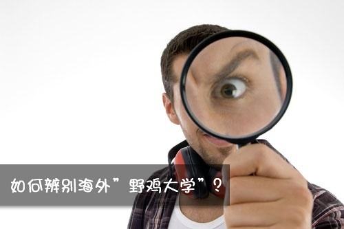 去美国留学选择公立大学好，还是私立大学？