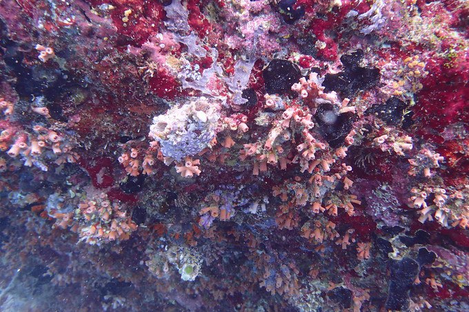 亲爱的我们一起去旅行歌曲,一起看海是我们的约定马尔代夫