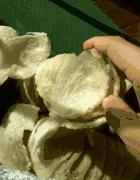 都怪自己轻信犯了错,印尼溯源燕窝有假的