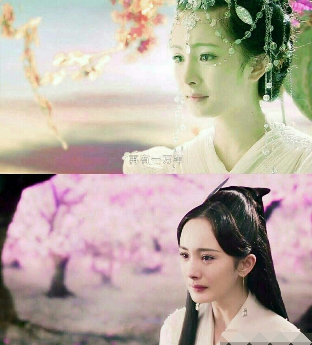 杨幂愿所有人都能被世界温柔以待,杨幂赵又廷新片愿有岁月可回首