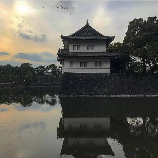 不去看樱花去看海,不去看樱花看西府海棠