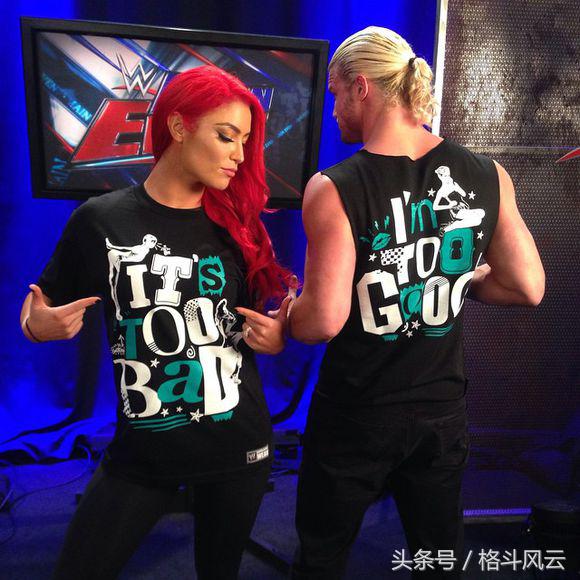 wwe最厉害的一个选手,最厉害的人物wwe