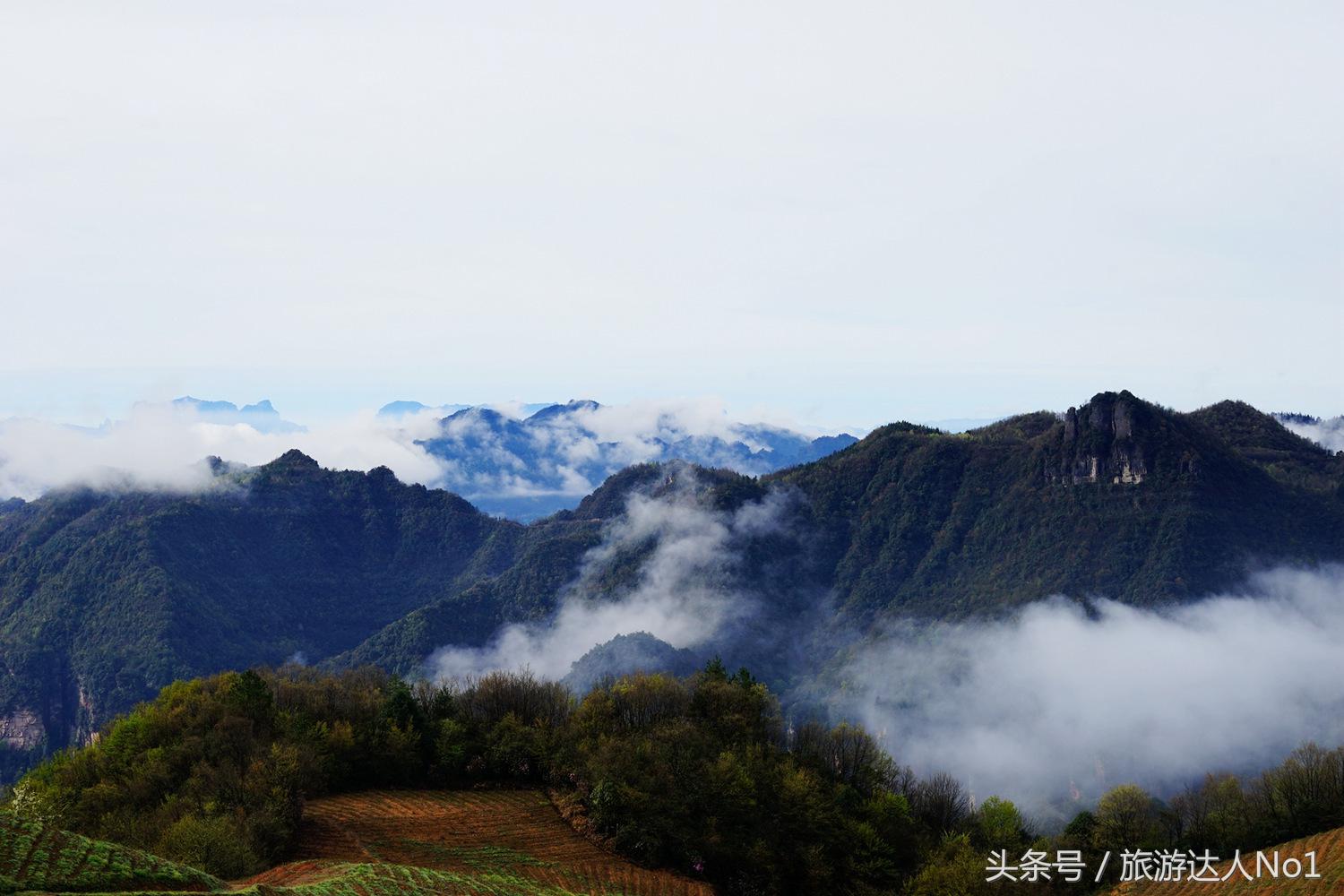 游记张家界8天旅游详细攻略,张家界天门山森林公园美景游记