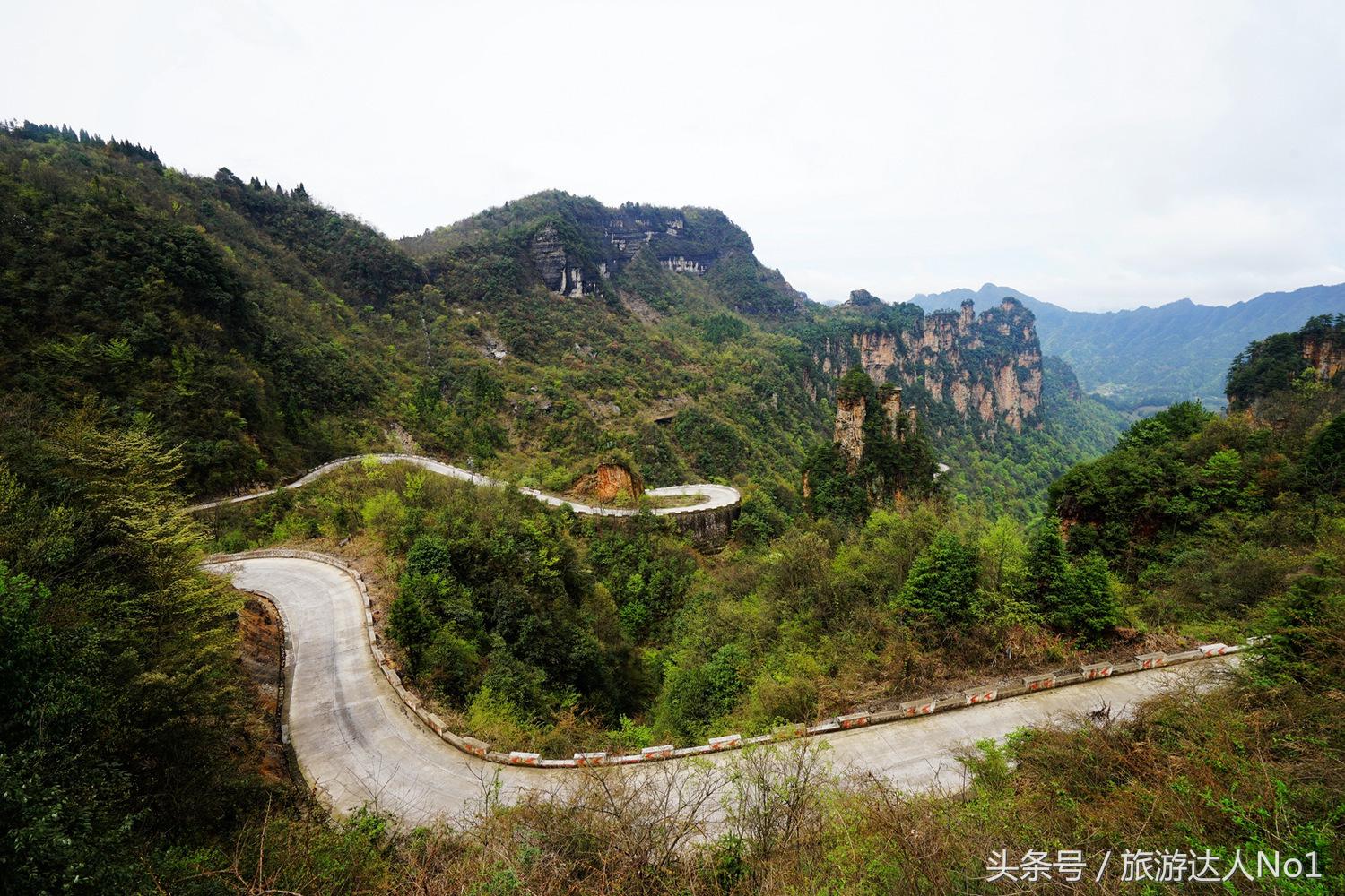 游记张家界8天旅游详细攻略,张家界天门山森林公园美景游记