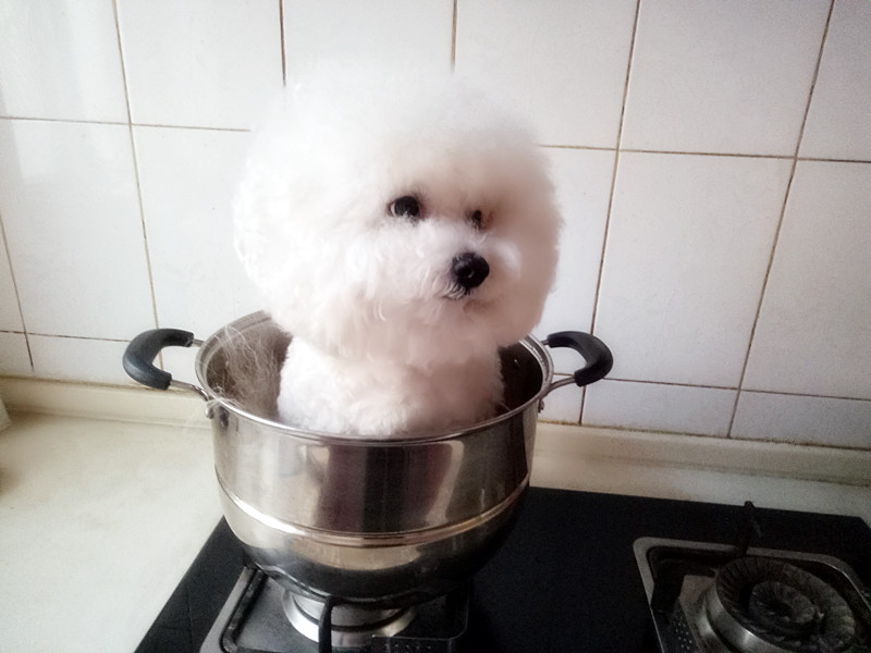 当我抬脚正要进屋时，目光突然被脚下一块顶门砖吸引了！