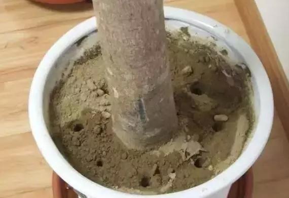 做好这几点让你少生病,做好这几件事能少吃很多亏