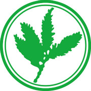 中国十大创业投资机构,投资机构最好的创业方式