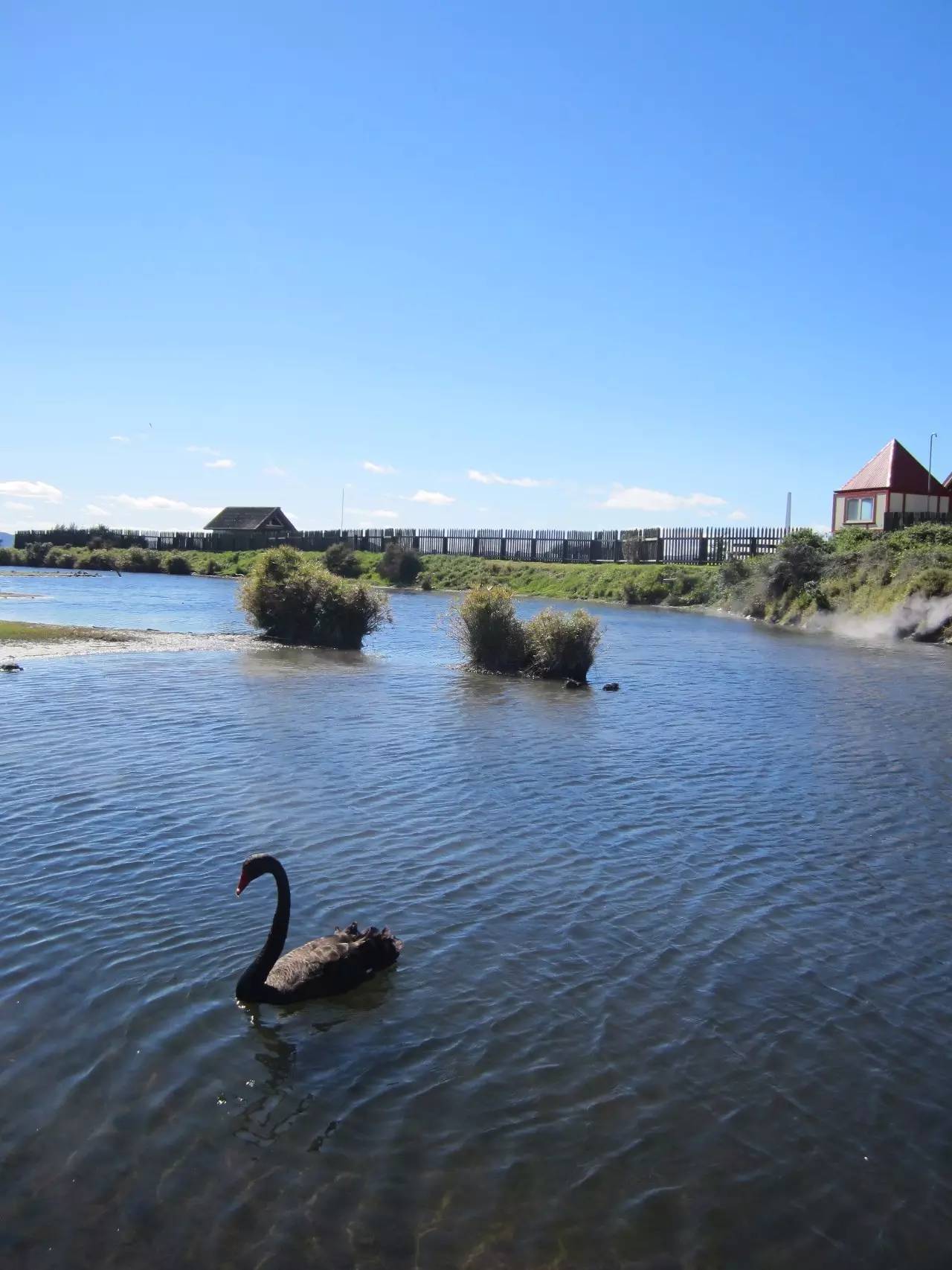 新西兰打工旅行,新西兰打工还需要出国吗