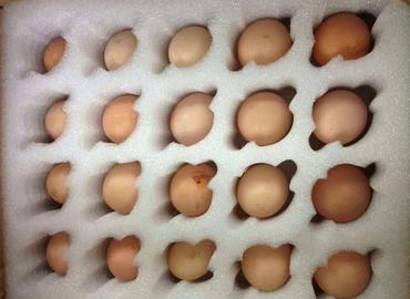 土鸡蛋怎么保存最有效,土鸡蛋如何保存更长久