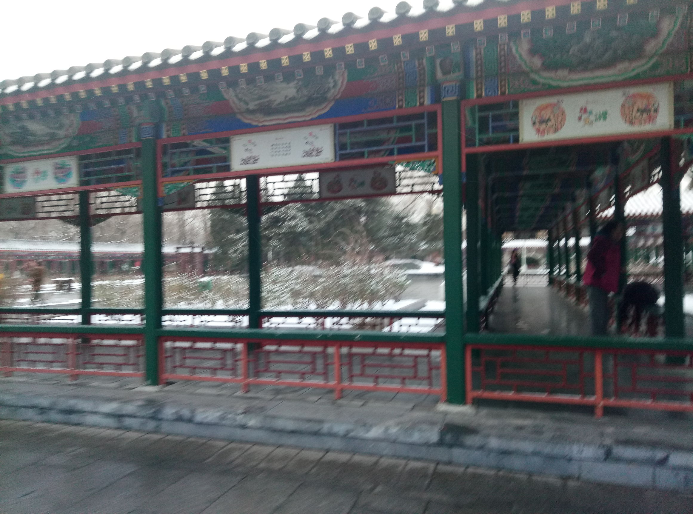 中山公园雪后图片,晚上的中山公园真是美极了