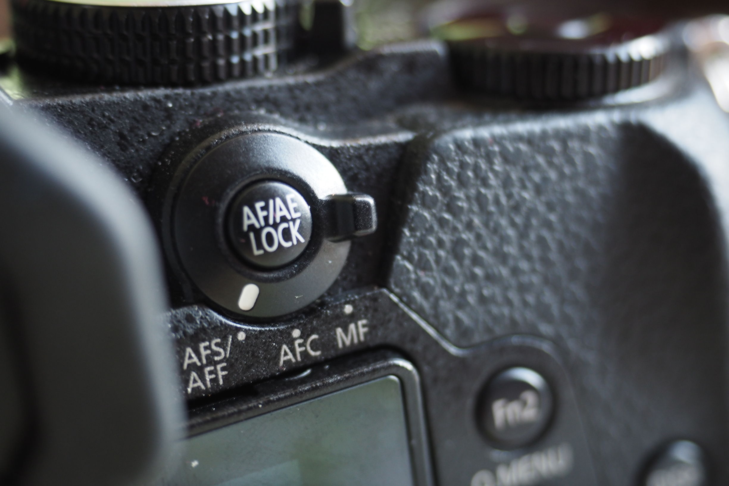 M4/3微单系统中,最适合摄影旅行的三款便携相机