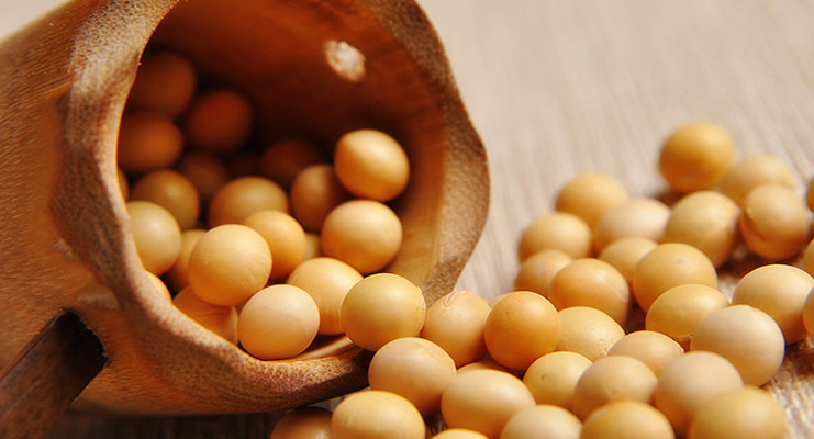 猪脚炖黄豆黄豆泡多久才软烂,黄豆怎么炖得软烂