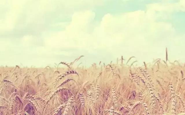 出国工作学什么,出国留学你做什么准备