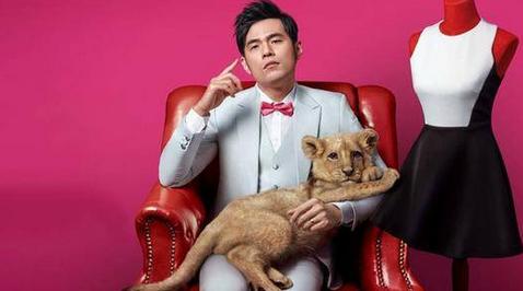 当科技公司高管比明星赚钱？赵丽颖高晓松baby这么说