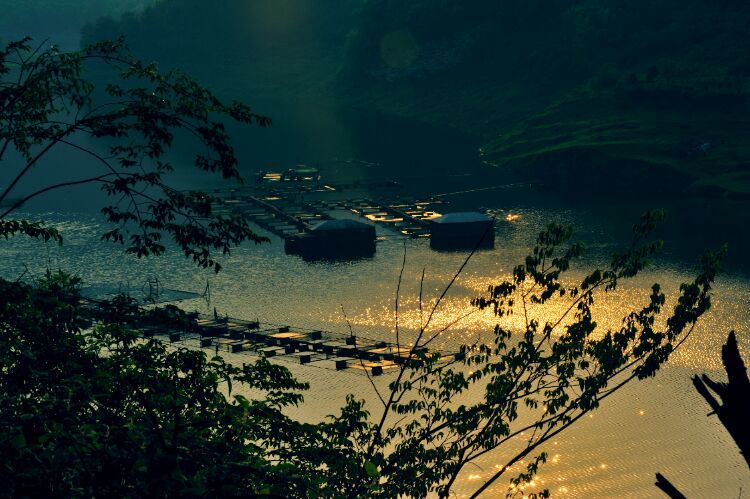 茶马古道丽水金沙,盐茶古道日照