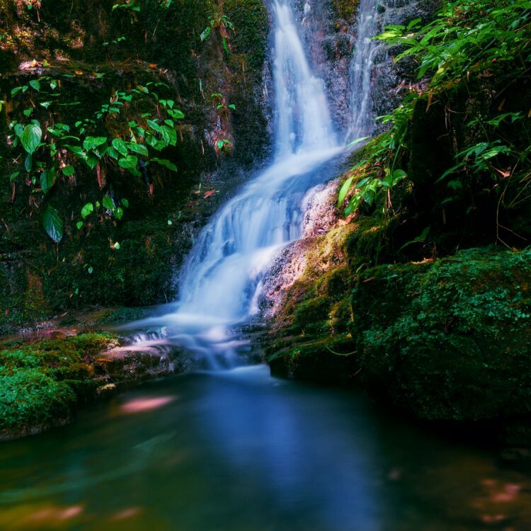 茶马古道丽水金沙,盐茶古道日照