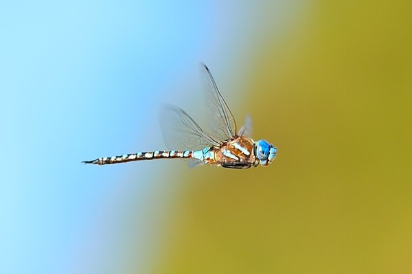 如何打造医院名医门诊,市医院专家门诊一览表