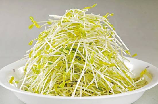 湿气改善指南,春季房间湿气太重怎么除湿