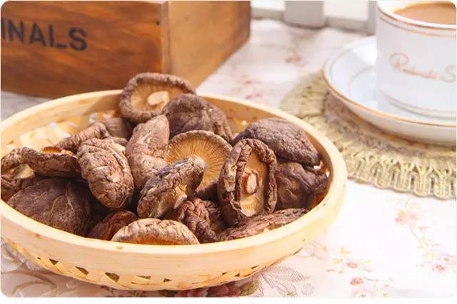 湿气改善指南,春季房间湿气太重怎么除湿